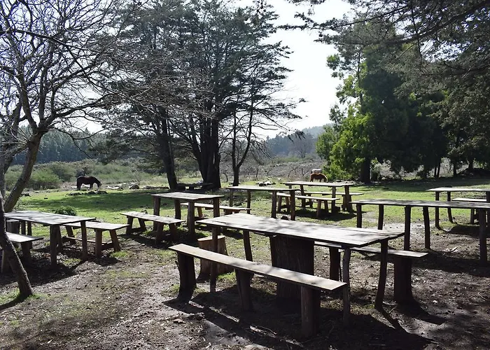 Country house Finca Don Leandro