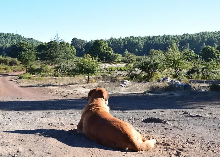 Finca Don Leandro Country house *