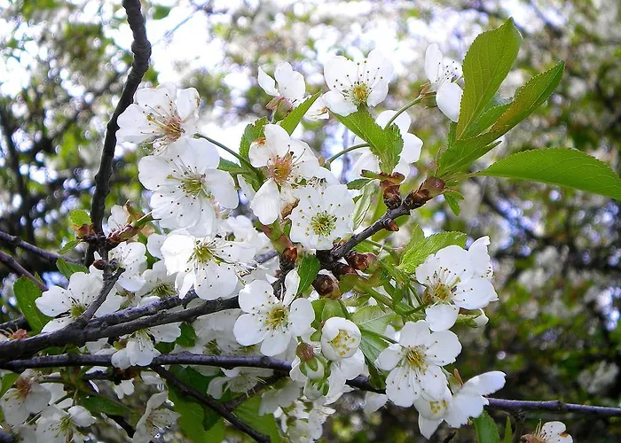 Country house Finca Don Leandro