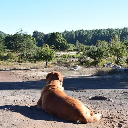 Finca Don Leandro カントリーハウス *