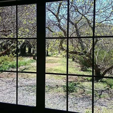 Finca Don Leandro Gospodarstwo wiejskie El Rosario (Tenerife)