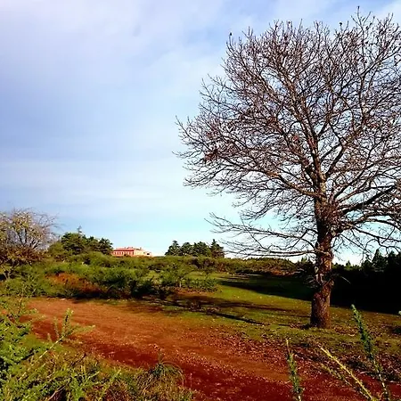 Finca Don Leandro * El Rosario (Tenerife)