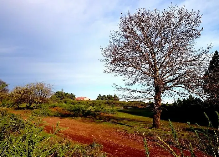 Finca Don Leandro * El Rosario (Tenerife)